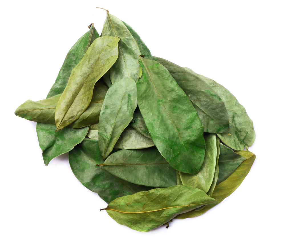 soursop leaves (250)